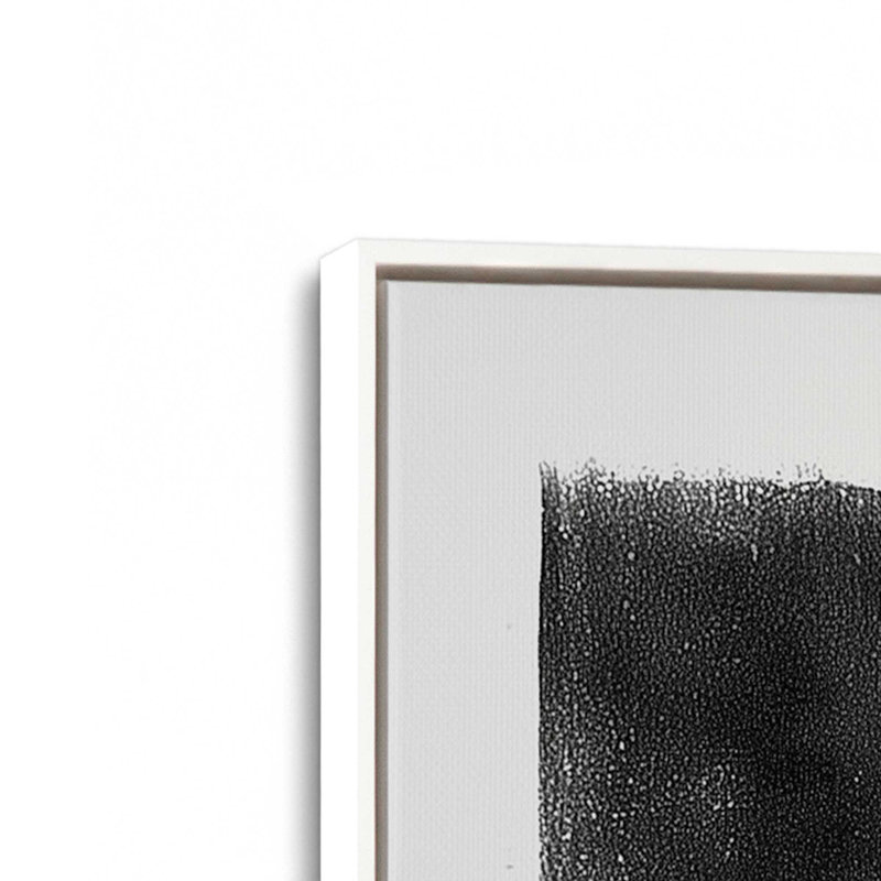 Ensemble de 2 impressions solaires, Cadre flottant blanc opaque, 36 po x 24 po