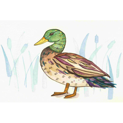 Canard colvert I