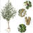 Tall Olive Trees Artificial with Planter-1549112949-1561500228