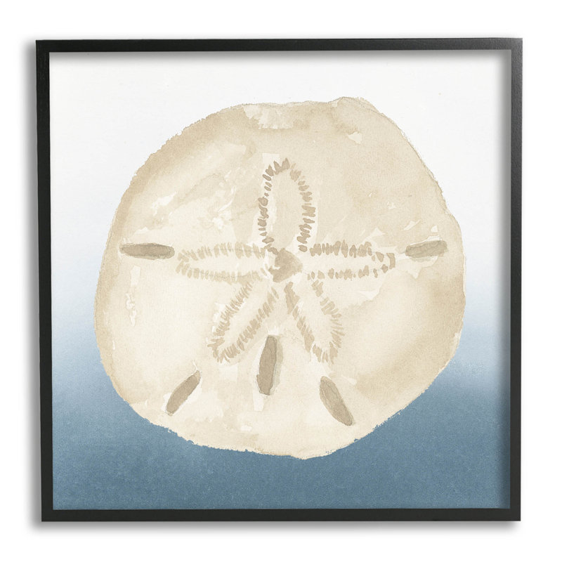 Beige sable, coquillages, estampe numérique par Lucille Price, H 24 po x l 24 po x P 1,5 po, Giclée encadrée noir minuit