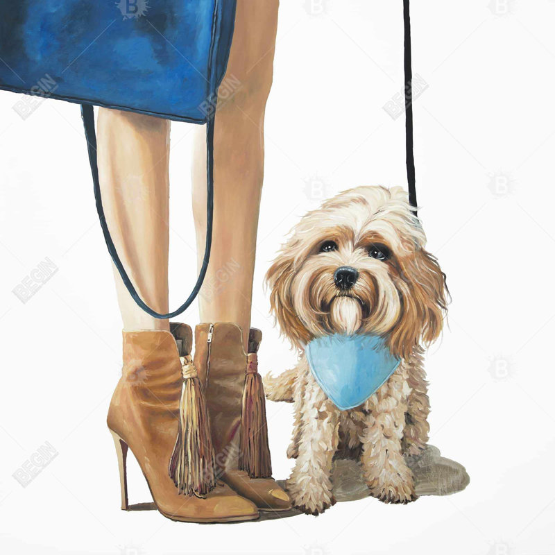 «Fashionable Cavoodle Dog»
