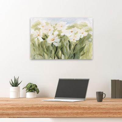 Daisies Daisy - Daisy Meadow