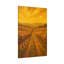 Apel Single Picture Frame Print on Canvas-1497031911
