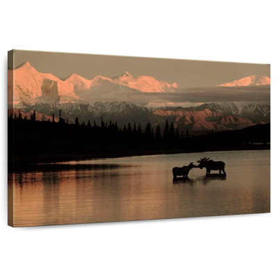 Alvord Courting Moose In Wonder Lake