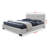 Avelar Bossley Upholstered, Queen Platform Bed, White 34.13'' H X 62'' W X 83.85'' L-385860528-385860535