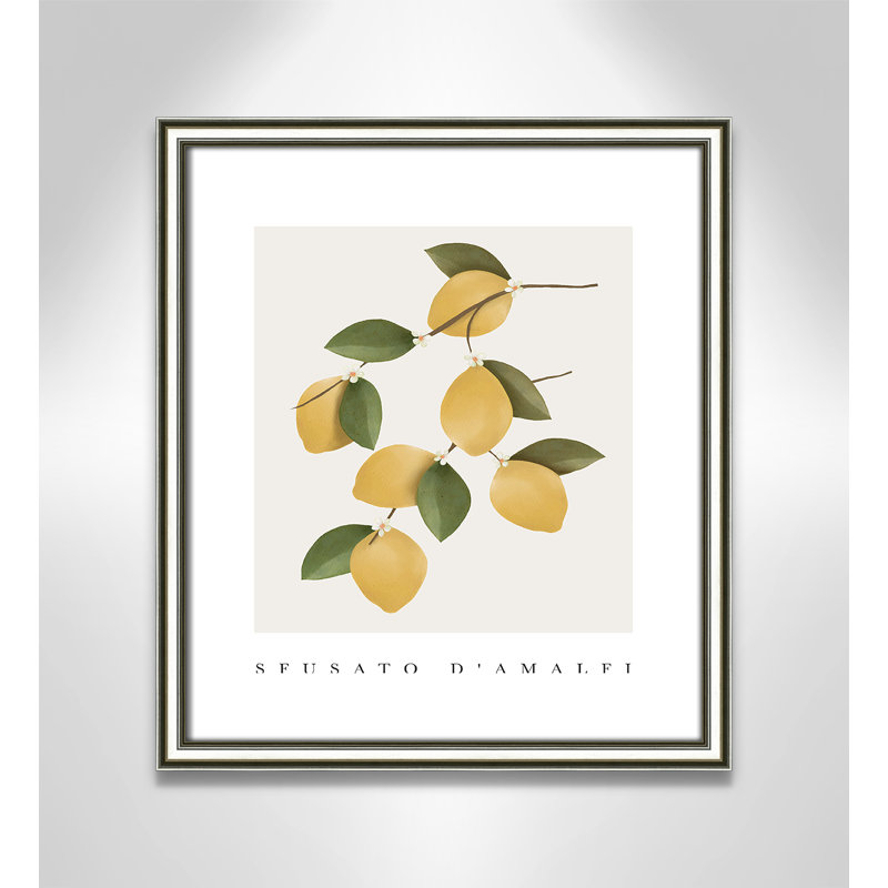 Amalfi Lemons - cadre photo, impression, H 16,25 po x l 14,25 po x P 0,875 po, Cadre argenté