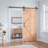 Sliding Standard Single Barn Door Hardware Kit with Handle and Floor Guide-59037401