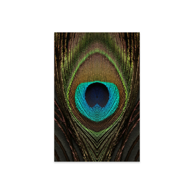 «Peacock Feather Symmetry I» par Alyson Fennell