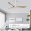 Ventilateur de plafond 60 po Uma-1335737925