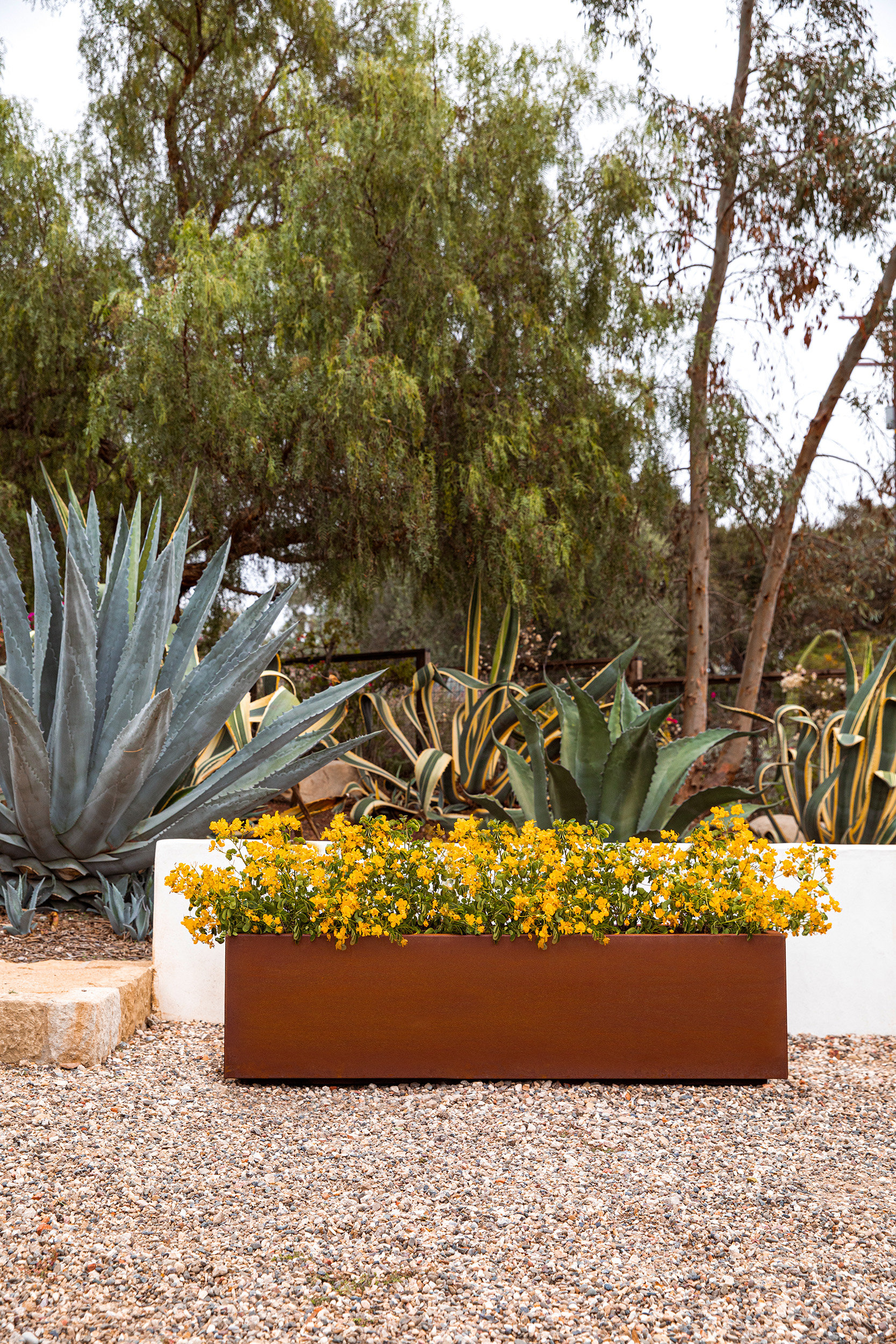 Veradek Corten Steel Series Long Box Planter & Reviews | Wayfair