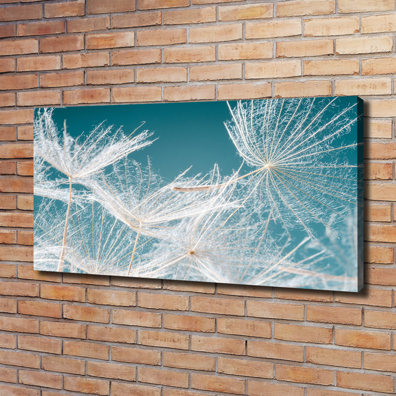 Dandelion Seeds - No Frame Print on Canvas