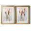 Danita Delimont - ensemble de 2 reproductions de photos-442514284-442514287-442514285