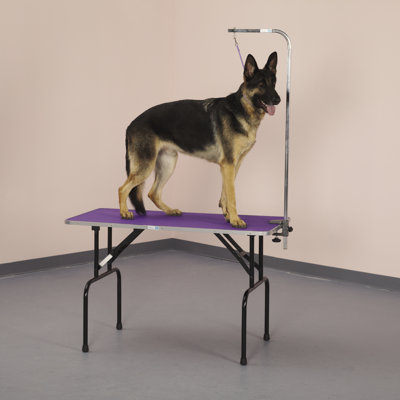 Table de nettoyage