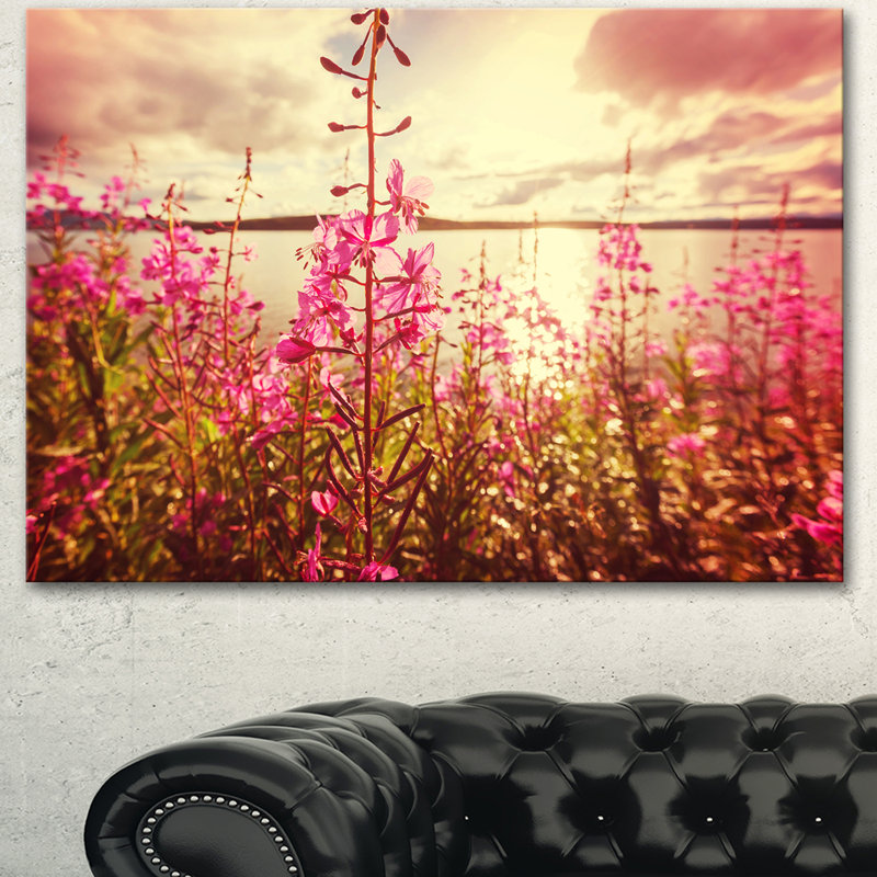 «Meadow with Purple Flowers Alaska», reproduction de photo sur toile tendue, H 30 po x l 40 po