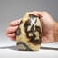 Polished Septarian Freeform from Madagascar (1.85 Lbs)