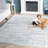 Tahoe Shag Performance Rug-723294129