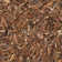 Assar Shag Saddle Area Rug