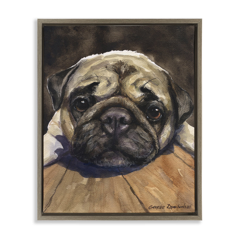 Cadre flottant Pug Soulful Portrait, conception de George Dyachenko, H 31 po x l 25 po, Montalcino orme flottant encadré