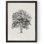 « rétro arbor study ii » par paul cezanne-cadre photo, reproduction d’art