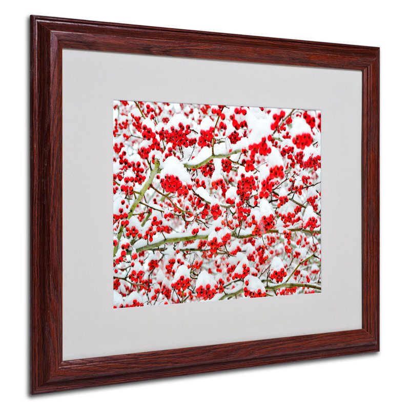 « winter baies in the snow », reproduction de photo sur toile encadrée, H 16 po x l 20 po x P 0,5 po, Brun