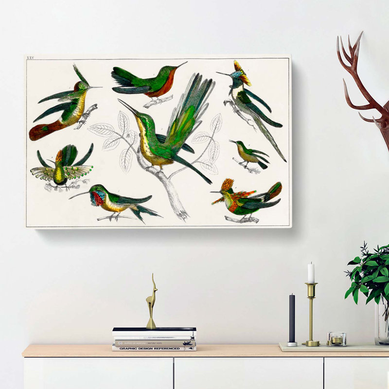 Collection Of Hummingbirds XXV by Oliver Goldsmith - Wrapped Canvas, 50cm H x 76cm W x 3cm D