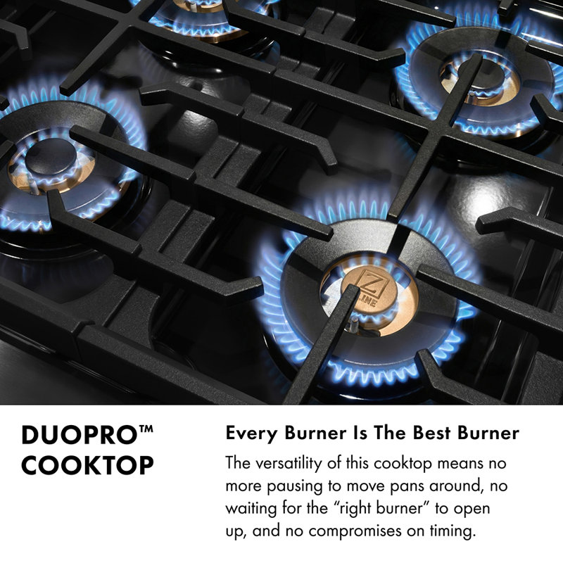 ZLINE 48 in. Paramount Dual Fuel Range with 8 Burner DuoPro Cooktop & Dual Ovens in Stainless Steel, White Matte