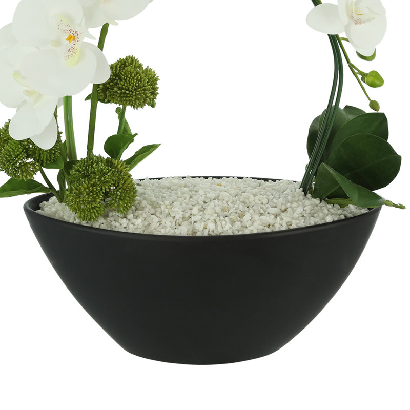 Orchids and Sedum Arranged in Ceramic Vase