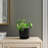 Brodie Ceramic Pot Planter-1974210317-1934194463-1934194462