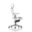 Symple Stuff Twill Executive Chair with Headrest-422106656