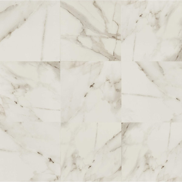 Calacatta dItalia 24" x 24" Porcelain Field Tile in Polished