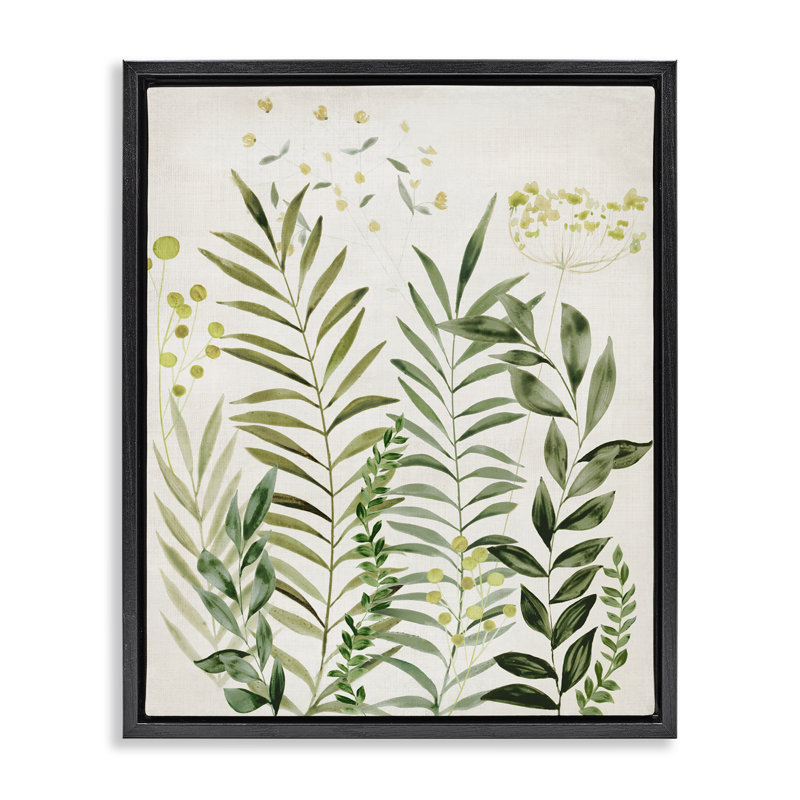 "Delicate Herbs & Leaves", art mural encadré flottant par Hannah Dawson, H 21 po x l 17 po, Cadre flottant noir de jais