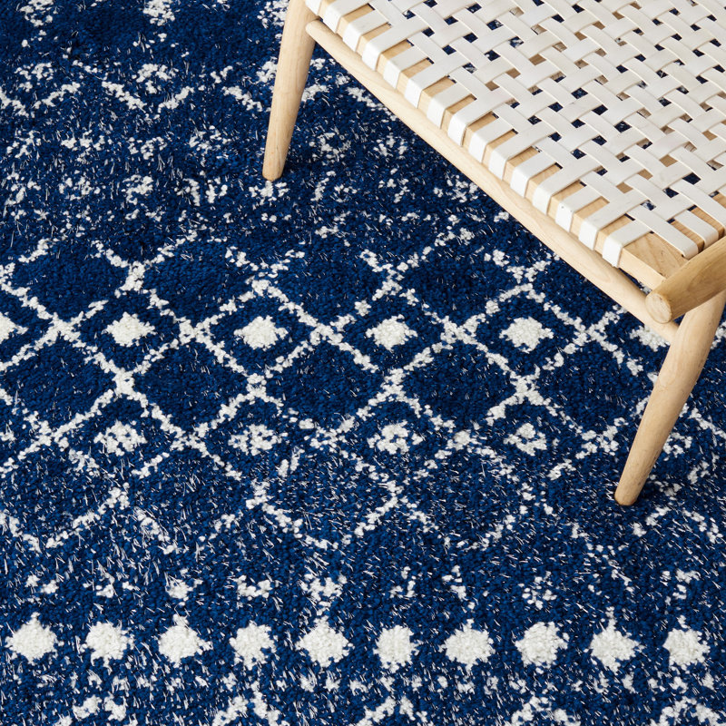 Tapis à poils longs Akifa, Rectangle 3 pi 3 po x 5 pi 3 po