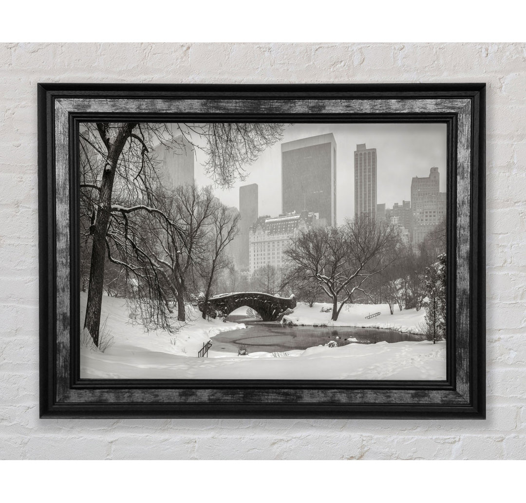 Winter Snow In Central Park - Einzelne Bilderrahmen Kunstdrucke