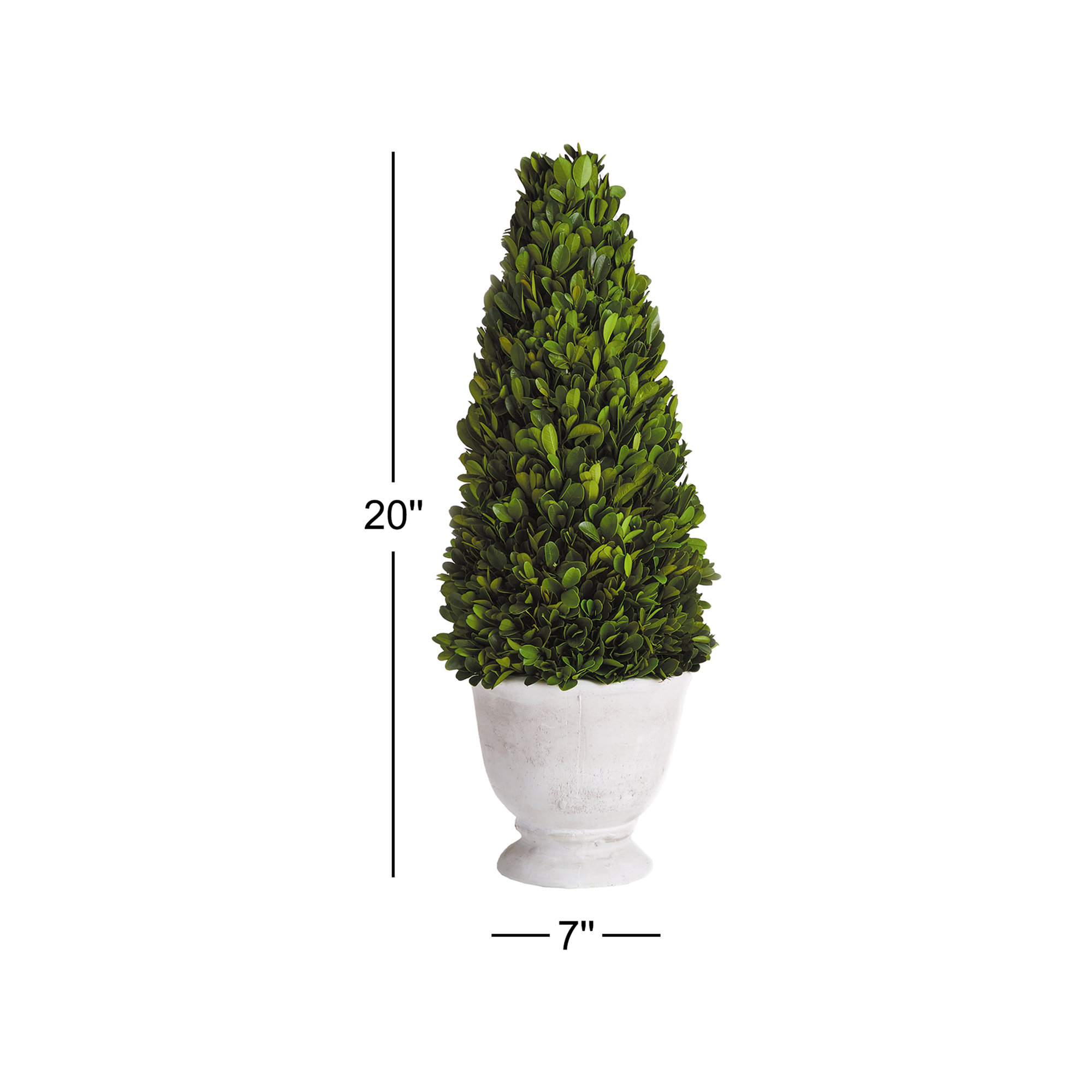20'' Boxwood Topiary in Ceramic Pot