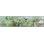 Papier peint à bordure en relief floral et botanique 15 pi x 6 po ruby Rubie
