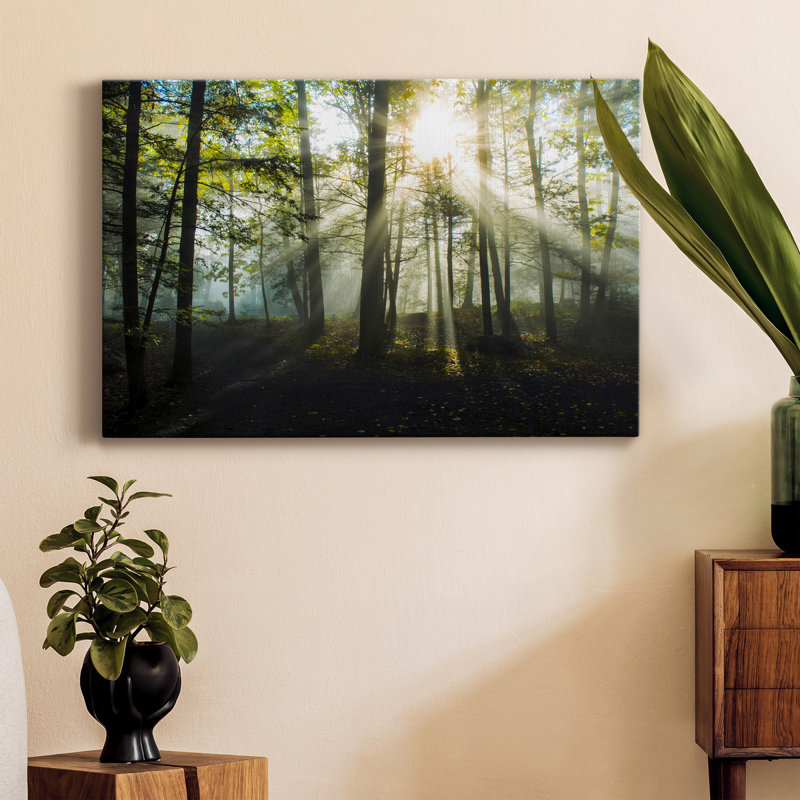 " Light And Trees ", 60" H x 40" W x 1" D