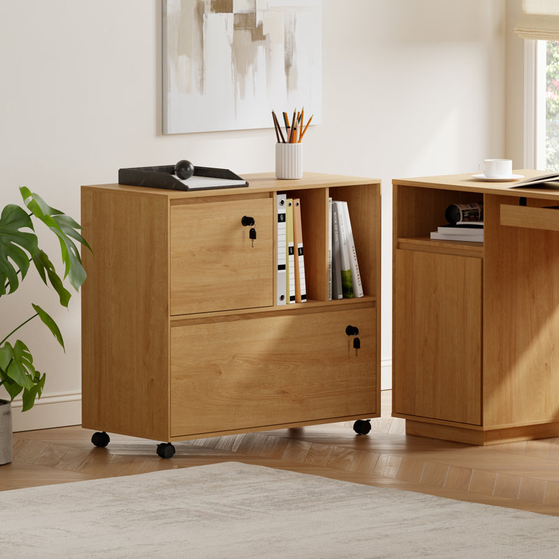 2-Drawer Locking File Cabinet with Keys, Full-Extension Drawers, Adjustable Hanging Rail for Legal/Letter/A4 Office Storage