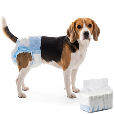 Dog Diaper