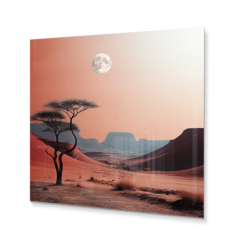 «Moon Desert Coral Cosmos» sur, H 24 po x l 24 po x P 1 po