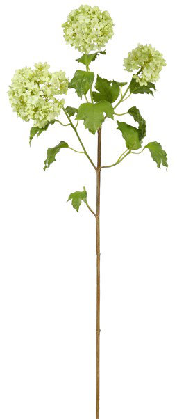 SNOWBALL STEM