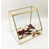 Clear/Gold is out of stock selected