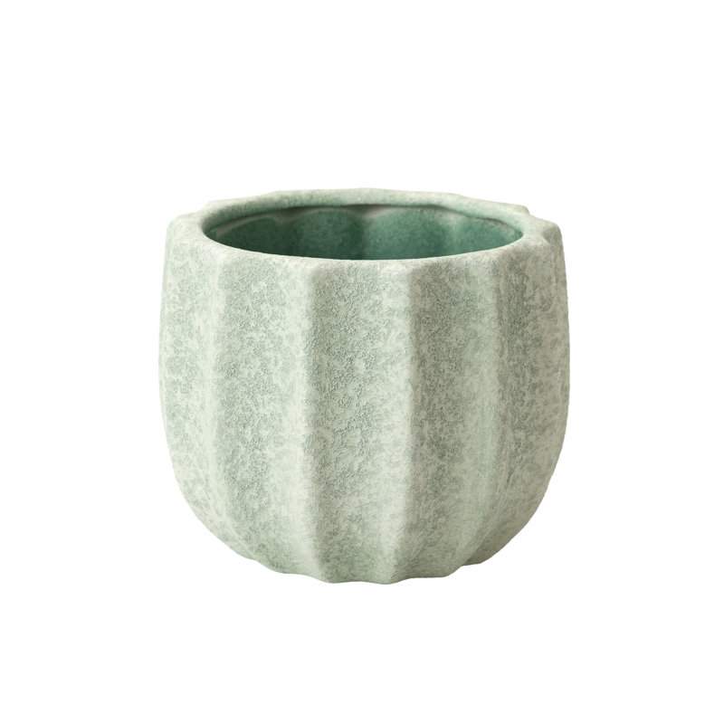 Ceramic Pot Planter