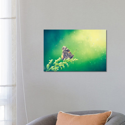 Butterfly At The Beam Of Sun 1 Piece Wrapped Canvas Wall Art