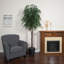 Arbre ficus de plancher dans un panier