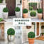 Boule de topiaire artificielle en buis-18283887-18283873