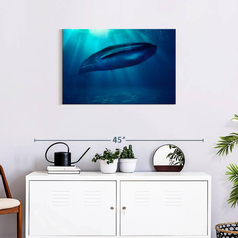 Brampt Blue Whale Underwater, 20'' H x 30'' W