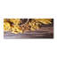A Mix Of Pasta - No Frame Print on Canvas