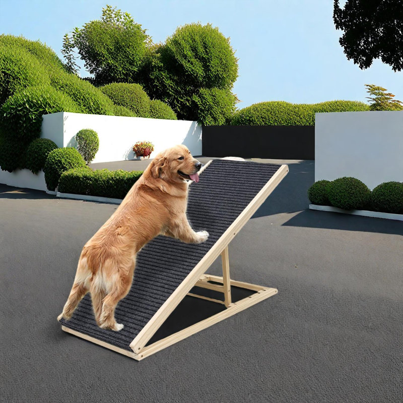 Rampe réglable pour chien pliable pour lit, canapé et voiture, très large rampe antidérapante pour animaux de compagnie