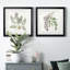 Graceful Botanical I - Graceful Botanical I - Ensemble de 2 reproductions de cadres photo-100946809-117309735-117309732