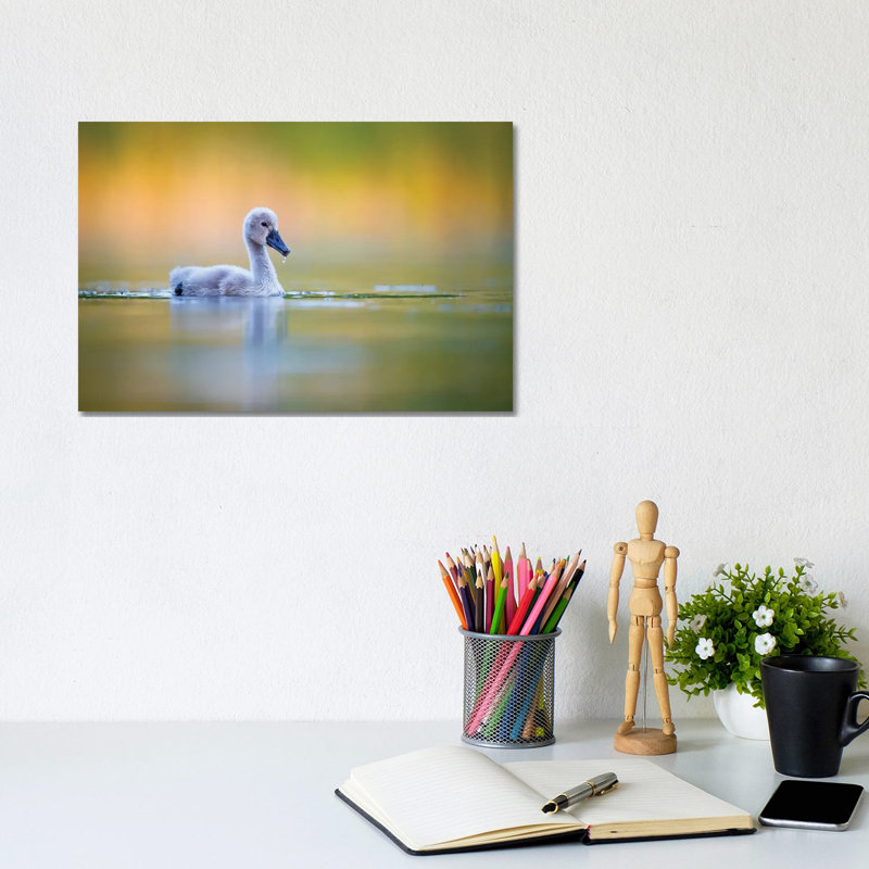 Cygnet by Mateusz Piesiak - Wrapped Canvas Print, 20.32 cm H x 30.48 cm W